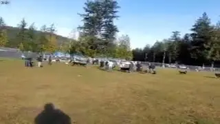 Bernese Mountain Dog meet up