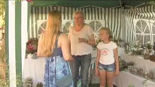 RTF.1-Nachrichten: Bahnhofsfest Honau