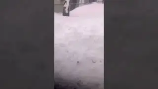 Buffalo blizzard 2022 dead