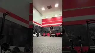 25.3