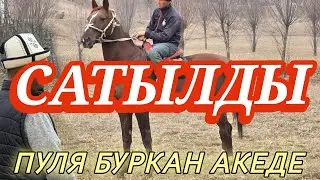 Октой кеткен тез ПУЛЯ БУРКАН АКЕДЕ 