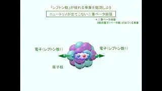 すぐにわかる原子核素粒子研究　～地下実験室から宇宙を探る 二重ベータ崩壊～