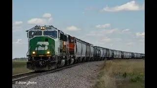 BNSF 1462 leading L-PWR604 (5/21/2025)