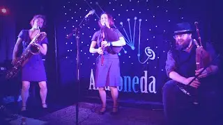 Bourr&eacute;e La Forficule - Androneda