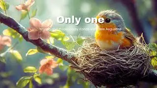 Only one by Kande Michaele Augustine