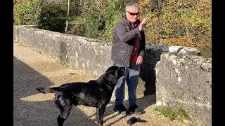 Down at my boat, one man and his dog