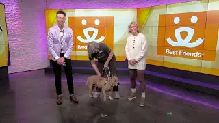 Two Adoption Events at Best Friends Pet Resource Center