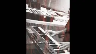 🎵 Introducing 