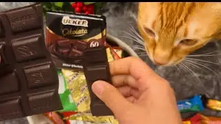 ASMR Candy Unboxing Sounds | Plastic and Foil Wrapper Sounds