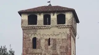 Le campane di San Nazzaro Sesia (NO) Abbazia dei Santi Nazario e Celso
