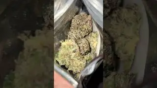 Бесплатный продукт, который выглядит так хорошо?!😳🔥 #вирусный #страницадляпросмотра #chunkyacadem...