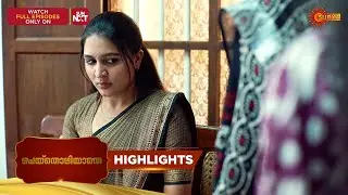 Peythozhiyathe - Highlights of the day | 31 Jan 2026 | Malayalam Serial | Surya TV