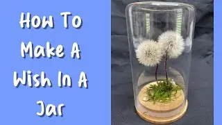 How To Make A Wish In A Jar