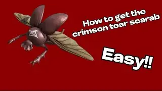 How to get the crimson tear scarab Easy!!