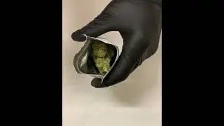 CBD Blue Berry Bud