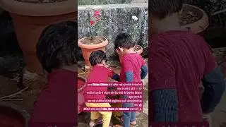 #TwinsTV#PlantsLove#PaudhonShivaPaudhonKoPani#NatureLovers#KidsActivity#GreenIndia#CuteTwins#