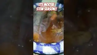 Moosie Stew Season is upon us!! #alaska #goodeats #moose #thegnomestead