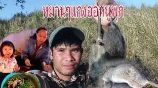 22 มกราคม ค.ศ. 2026