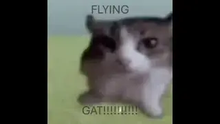 Evil Games
