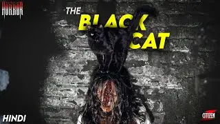 Mystery Of The Black Cat !! MASTERS OF HORROR - S2 EP11 - Explained In Hindi