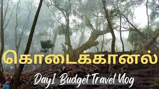கொடைக்கானல் Travel Vlog 1 | Budget Friendly Travel Vlog In Tamil | Bryant Park, Coaker Walk, Pambar.