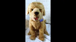 Life Size Furreal Biscuit Golden Retriever Dog Interactive Toy Working & Biscuit