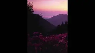 ETHEREAL X ICYTWAT TYPE BEAT - Morning Hues