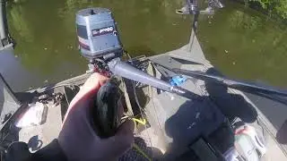 Minnesota Metro Bluegill Fishing