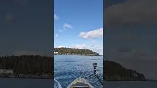 Easiest way to find a school of fish😂😂 #fishing #kayakfishing #salmonfishing #shorts