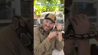 Tokyo Snake Center