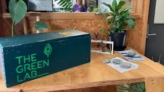 The Green Lab