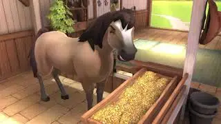 🐴HorsePedia BreedingChallenge: AllTier Quarter Horse, races, dressage training, spending diamonds💎