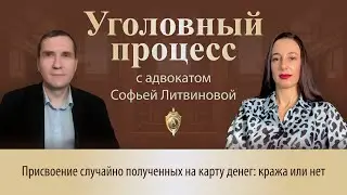 Выпуск 288. Присвоение случайно полученных на карту денег: кража или нет
