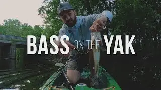BASS on the YAK  - TOPWATER Largemouth Fly Fishing on the Kayak