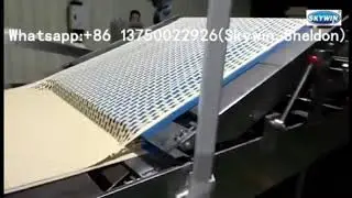 Skywin 1200MM Hard And Soft Biscuit Production Line