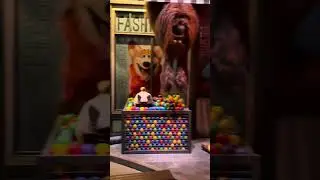 The Secret Life Of Pets: Off The Leash Ride at Pets Place 1/25/2026