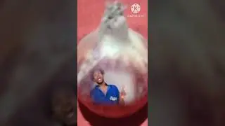 HD page video