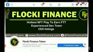 Обзор активности социальных сетей Flocki Finance. NFT multichain marketplace.