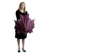 Umbrella Walking Sticks Video