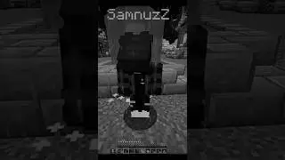 Samnuz Sacrifice For SMP || #shorts #sad #nizgamer
