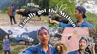 GOT STUCK IN THE JUNGLE🥶🌴 ||FINALLY FOUND OUR MITHUN 🐂