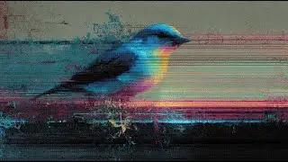 Little Bird (Soul Ballad)