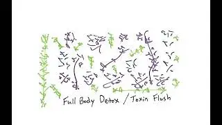 Light Language: Full Body Detox