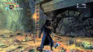 Bloodborne&trade; Waning Cursed Bolt Blood Gem Drop from Madman