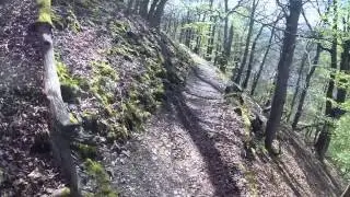 Urwaldsteig Edersee mit MTB