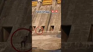 Alert for hirakud dam gate open 📢📢