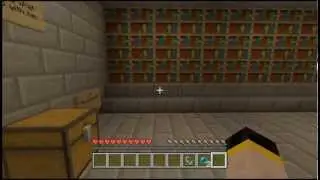 Minecraft (Xbox 360) - Adventure Map - 