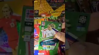 ADA HEGERBERG 🐐 #youtubeshorts #panini #trending #foryou #viral #shortvideo #worldcup #soccer #video