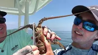 Mini Lobster Season 2018 in Islamorada, Florida Keys