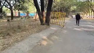 Daily vlog channel #viral #nature #india #trending #fitness #shorts 